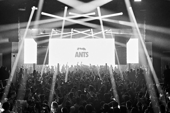 HI Ants Opening